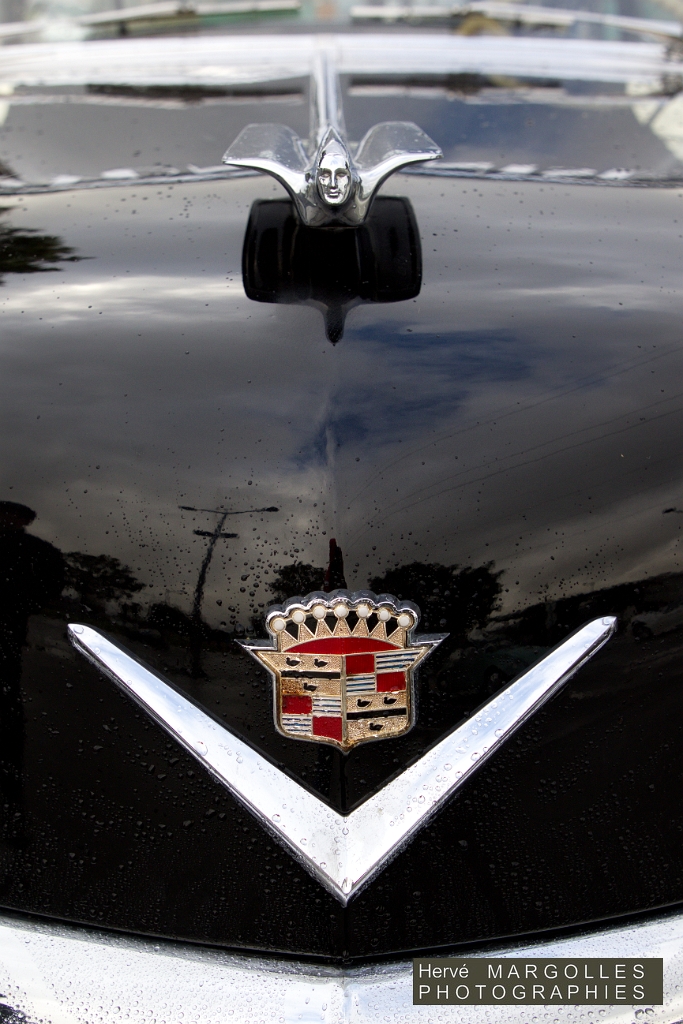 Cadillac serie 62 Coupe-05.jpg